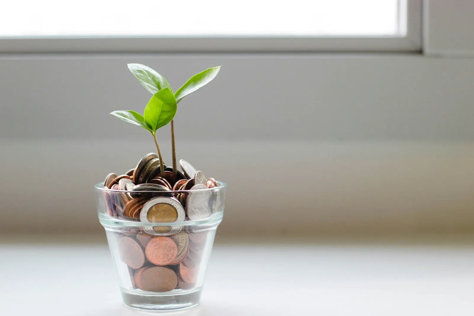 Small plant growing from coins to represent roof replacement costs