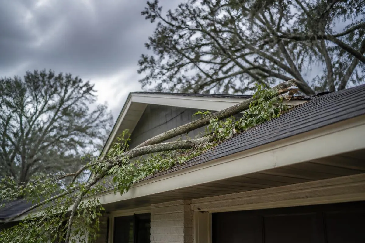 Tree branch resting on a Gainesville home's roof after storm damage